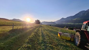 Direktvermarkter Artikel nur im Laden erhältlich!